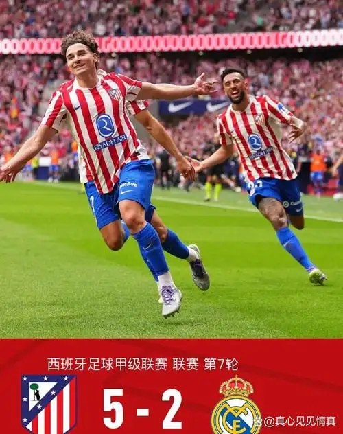 雨燕直播免费观看